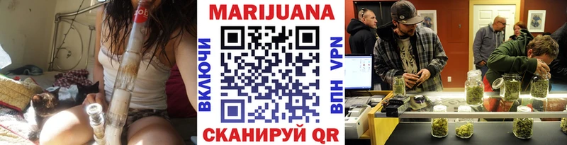 Конопля план  где найти наркотики  Бакал 